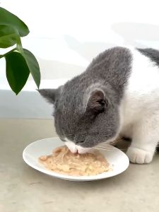 Pet Time ขนมเเมวเลีย อาหารแมว อาหารเปียกแมว อาหารแมวเปียก ขนมแมวเลีย ขนมแมว ขนมแมวเลียมีโอลดราคาพิเศษสำหรับแมว ขนมแมว อกไก่ 15กรัม แมวเลีย vfcore