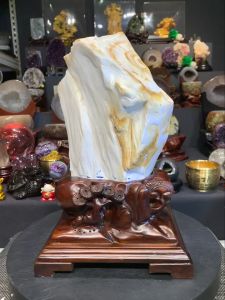 fossil tree#johorbahru #crystal #sslive🪵过亿年玉化💯天然树化玉  玉化色泽洁白带些黄纹  天然艺术摆件🌳 观赏石❤️ 🆓附送实木雕刻底座  整体高total height: 34cm  底座宽total width: 21.5cm x 20.5cm  总重total weight: 6.15kg 树化玉高raw height: 26cm  宽raw width: 19cm x 12.5cm  净重raw weight: 5kg  📍Johor Bahru