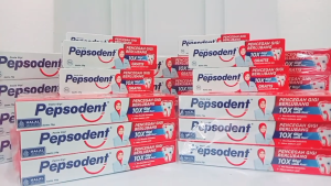 PAKET HEMAT PASTA GIGI PEPSODENT 75 GRAM ISI 12 PCS
