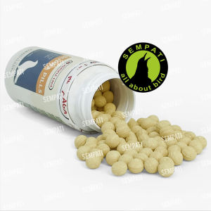 SEMPATI Supra Pills Doping Vitamin Burung Merpati Pil Supra Versele Laga Import Jamu Obat Giring Merpati Tomprang Kolongan Tinggian Dara Pos