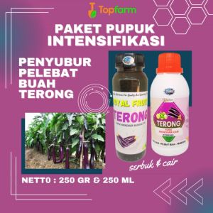 Pupuk Pelebat Buah Terong Ungu / Pupuk Terong Lalap / Pupuk Pelebat Buah Terong Bulat / Pupuk Pelebat Buah Terong Hijau / Pupuk Khusus Terong
