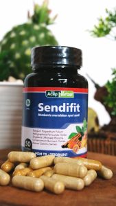 Obat Cedera ACL & Nyeri Sendi Lutut: Solusi dengan Sendifit