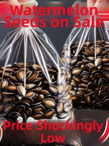 Roasted Original Flavor Large Kernel Watermelon Seeds