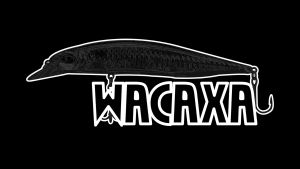 เหยื่อปลอม  WACAXA FLOATING 135mm/19g : Weebass เหยื่อปลั๊ก
