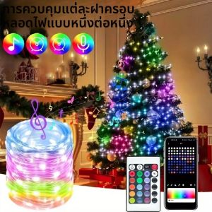 WS2812 LED String Light USB 5V สมาร์ท IC Party คริสต์มาสไฟ Fairy Garland ตกแต่งบลูทูธ 5-20m แอดเดรส Dreamcolor