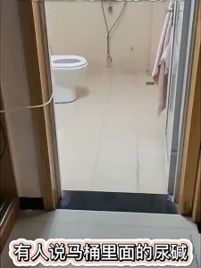 日本尿碱溶解剂 - 强力去污，洁净无异味 Japanese Urine Scale Dissolver - Powerful Stain Removal Clean and Fresh