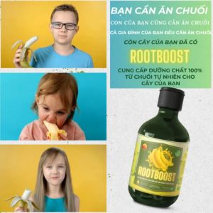 Kích Thích Và Phát Triển Rễ Bung Mầm Mạnh Kích Hoa Kích Trái An Toàn Cho Cây Túi Lớn 100% Hữu Cơ | Chuối & Vỏ Trứng | SunLeaf