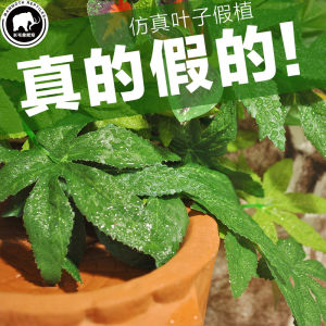 Climbing Box Lizard Box Crawler Feeding Box Chameleon High Box Landscaping Decoration Timbo Vine Simulative Plant Leaf