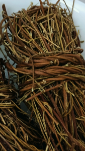 鸡骨草 2扎 ±150g Ji Gu Cao 2 pieces Abrus Herb Herba Abri 鸡骨草