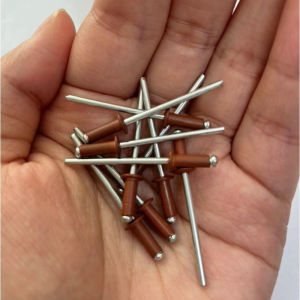 50PCS RAL8004 Copper Brown Painted Blind Rivets Aluminium Steel Colored Rivets DIY Pop End Blind Rivet Fastener 1/8"