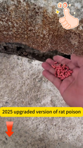 [10000m without mice] rat poison 150g specializing killing big mice rat repellent bait ubat racun tikus racun tikus paling berkesan racun tikus paling kuat tikus racun 老鼠药