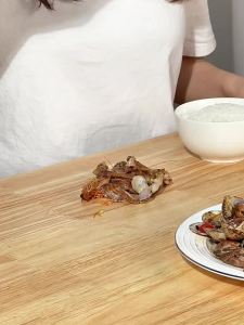 youqin | Food Grade Desktop Waste Collection Dish
