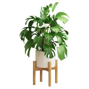 CHUJUN | Decorative Plant Stand for Living Room and Balcony