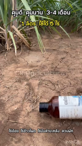 ตาต้าตลอร์ 96 เอส-เมโทลาคลอร์ ยาคุมหญ้า สารคุมวัชพืช คุมหญ้า นาน 3-4 เดือน พ่นได้ 5 ไร่ อ้อย ข้าวโพด มันสำปะหลัง สวนผัก 1 ลิตร