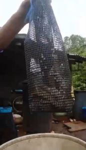 ตุ้มดักปลาไหลงาพลาสติก 10 ลูก 400 บาท