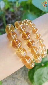Collection Grade Brazil Citrine Bracelet