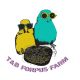 T&B Forpus farm