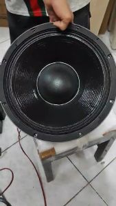 Live Tsunami Habagat Pro 15: A High Performance Audio Speaker