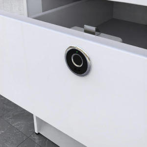 Fingerprint Electronic Lock Embedded Furniture Lock