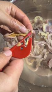 [FREESHIPMAX] Dao Làm Lòng Gà Lòng Vịt QUANGLONG 13.8X3.5cm Một Dụng Cụ Làm Lòng Siêu Nhanh Nhỏ Gọn