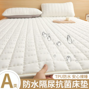 Waterproof Anti-Slip Soft Cotton Matress Pad Thin Home Use Bedding Protector Single Double Size Mattress Cover Simplicity Modern
