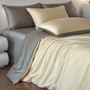Luxury Ice Silk Bedding Set