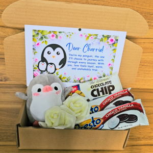 ✨ Thoughtful Gray Penguin Gift Idea for Him or Her with Free Message