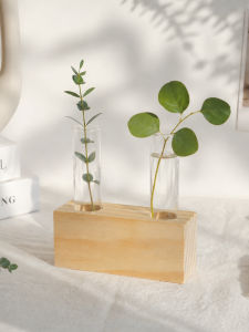Decorative Creative Glass Water Cultivation Bottle