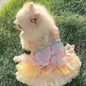 Pet Clothes Rainbow Butterfly Pet Princess Dress Pet Costume Cats Skirt Pet Supplies