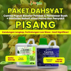 Pupuk Pestisida Topfarm: Solusi Terbaik Untuk Pohon Pisang