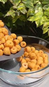 Sus Coklat Kering Lumer Kiloan Camilan Segala Usia