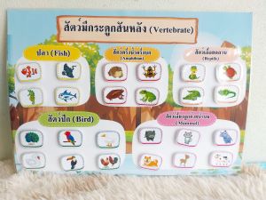 *สื่อการสอน วิชา วิทยาศาสตร์* บอร์ด สัตว์มีกระดูกสันหลัง*สื่อปฐมวัย*สื่อประกอบมือ *สื่อออกแบบเฉพาะ* ขนาด A3A4