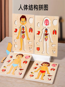 Đồ Chơi Ghép Hình Cấu Trúc Cơ Thể Động Vật Nhiều Lớp Giáo Dục Sớm Giáo Dục Nhận Thức Cho Bé Trai Và Bé Gái Đồ Chơi Giáo Dục Trí Tuệ 3-6 Tuổi