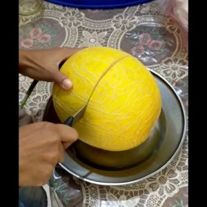 Benih Bibit Melon Orange F1 Hybrid - ROCKY - Reinnon Seed