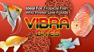Hikari Vibra Bites Fish Nutrition for Growth and Immune System Support