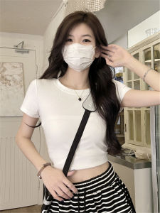 Slim Fit Shapely Short Sleeve Crop Top Tee