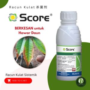 SCORE 500ml Syngenta Racun Kulat Antraknosa Alternaria Cili Tomato Timun Durian Difenoconazole 23.23% Fungicide Anthracnose / Alternaria 烂叶病 稻热病 辣椒鸡眼