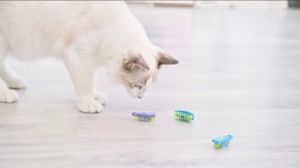 Vibrating Mini Robot Bugs Electric Cat Toy for Interactive and Exciting Playtime