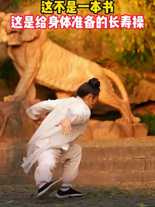 汉舟书店★Chen Style Tai Chi Old Frame: Illustrated Instructions and Verbal Commands — Zhang Jinju — Scientific and Technical Literature Press★陈氏太极拳老架图片口令★张金菊/科学技术文献★9787518940721【运动太极武术瑜伽健身 Fitness Sport 图书Book Hzbook】