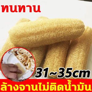 การเติบโตตามธรรมชาติอย่างแท้จริง ใยบวบขัดตัว 31-35cm ไม่ทำให้หม้อชามเสียหายไม่ติดคราบน้ำมันไม่หลุดร่วง ใยบวบขัดผิว ดูดซับน้ำได้ดี ใยบวบ 100% เส้นใยพืชธรรมชาติ ใยบวบขัดผิว ใช้เนื้อใยบวบคุณภาพสูงที่เป็นมิตรต่อสิ่งแวดล้อม ใยบวบขัดตัว
