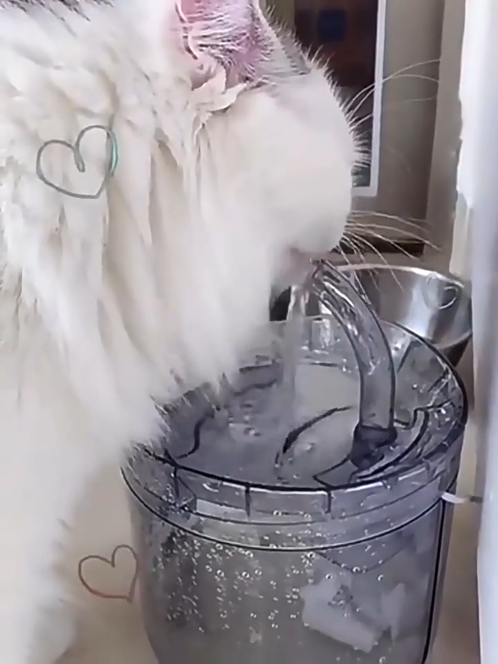 Pet Water Fountain 2L Automatic Filtered Drinking Dispenser for Cats Dogs with Smart Sensor