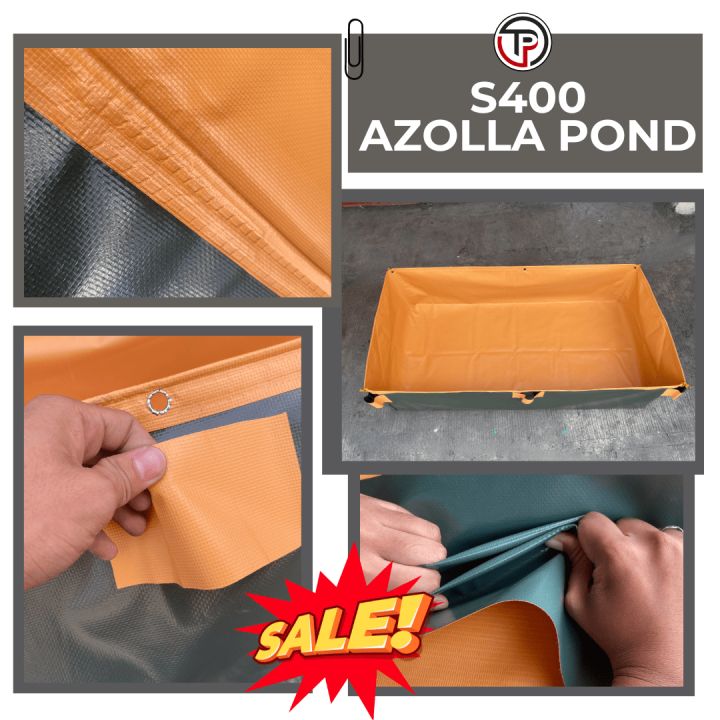 Trapond Frame 4x2x1ft W/ SUOTAN NG FRAME Original Heavy Duty S400 (Azolla/Trapond ...