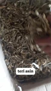 COD ikan teri asin murah 1 kg