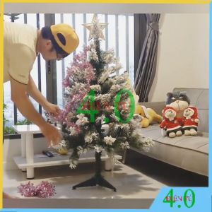 Cây Thông Noel Chaang Chiia Cao Cấp 1m5/1m2/0.9m - Phong Cách Hàn Quốc Tán Dày Lá Xanh Dáng Mỏng