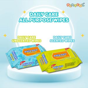 Daily Care All Purpose Wipes Unscented Blue 80's