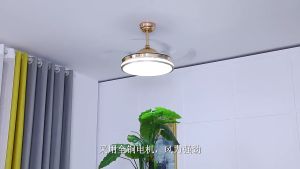 Green Wind 36 inch Ceiling Fan with Light Inverter Fan Lamp Stainless steel Fan Blade 35W DC Ceilings Fan with LED Light