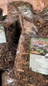 Lá tía tô khô (1kg) trà lá tía tô cho người bị gút giải cảm ho hỗ trợ tiêu hóa bổ phổi giảm sốt