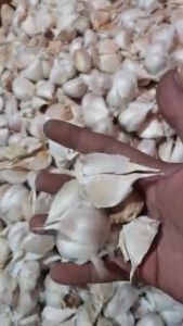 Bawang PUTIH KATING - 500 Gram - LPJ