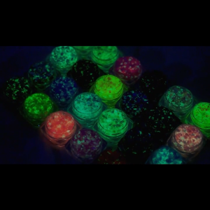 12 Colors Luminous Glow in The Dark Fluorescent Colors Glitter Gel Body Face Skin Festival Makeup Carnival Cosplay