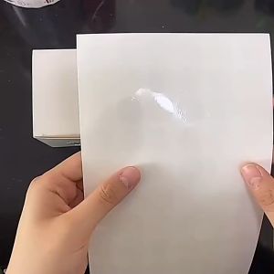 1000 Pcs Polos Segel Transparent Stiker Vinyl Bulat 2.5/4/5cm Transparant Sticker Label Bening Transparant Yang Durable & Visible Untuk Pembungkusan & Etiket